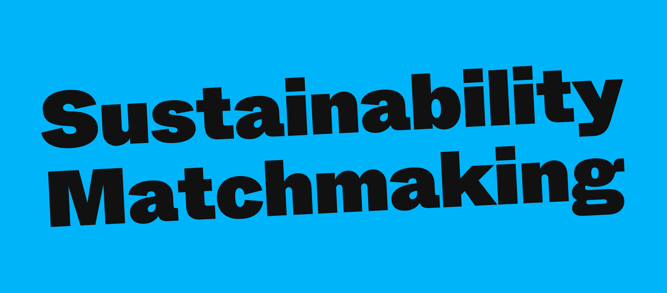 Sustainability Matchmaking